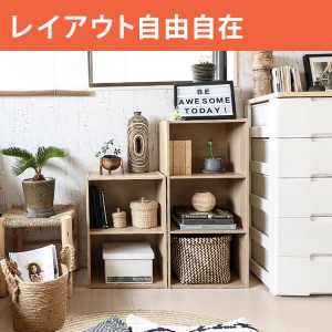 IRIS CB系列 雙層/三層收納木架 CX-2N/3N(紫)
