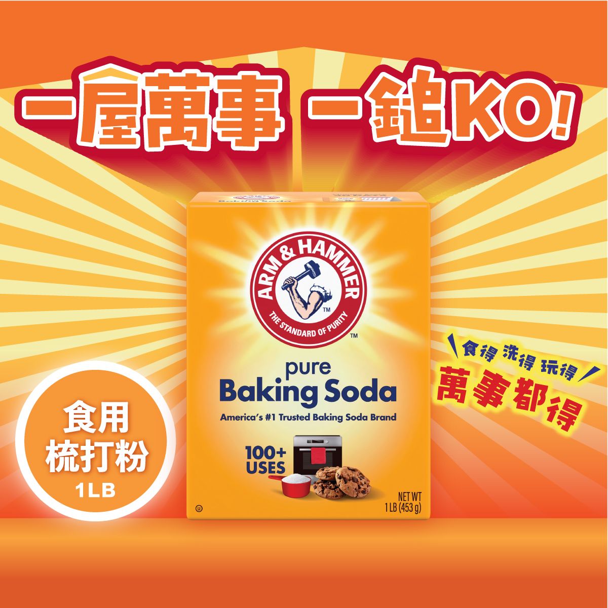 Arm & Hammer Pure Baking Soda 1lb